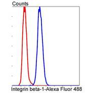 Integrin beta-1 [SR30-03]